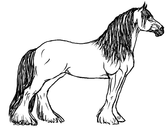 Horse Coloring Book Free Free Cliparts That You Can Download To You    