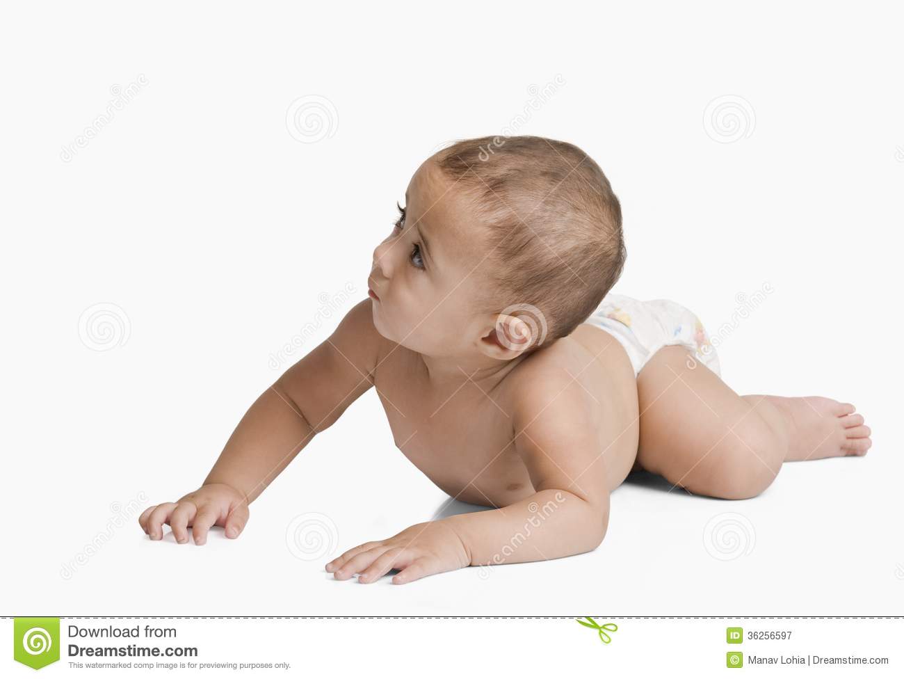 Baby Boy Crawling Royalty Free Stock Photography   Image  36256597