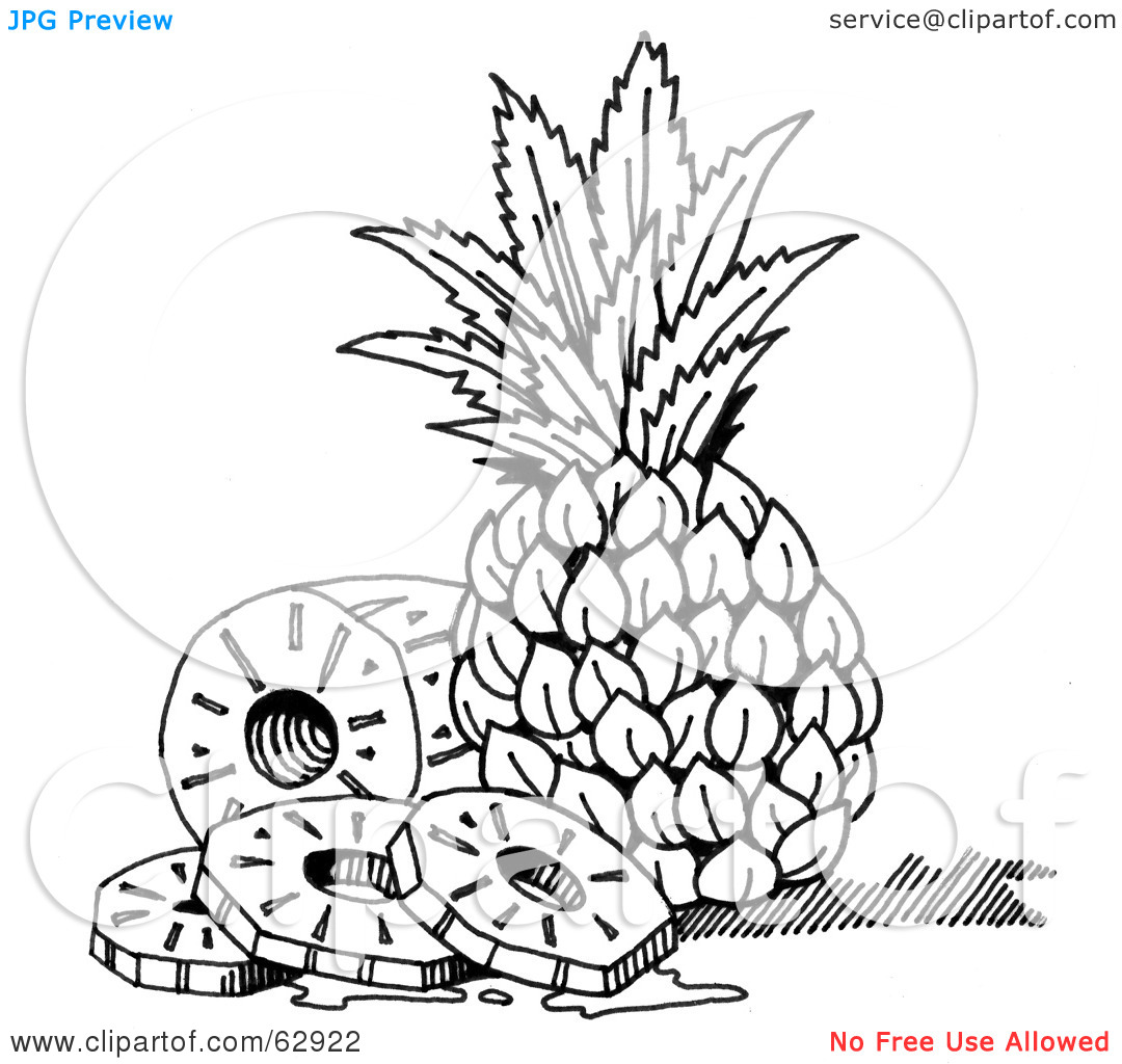 Free  Rf  Clipart Illustration Of Black And White Sliced Pineapple