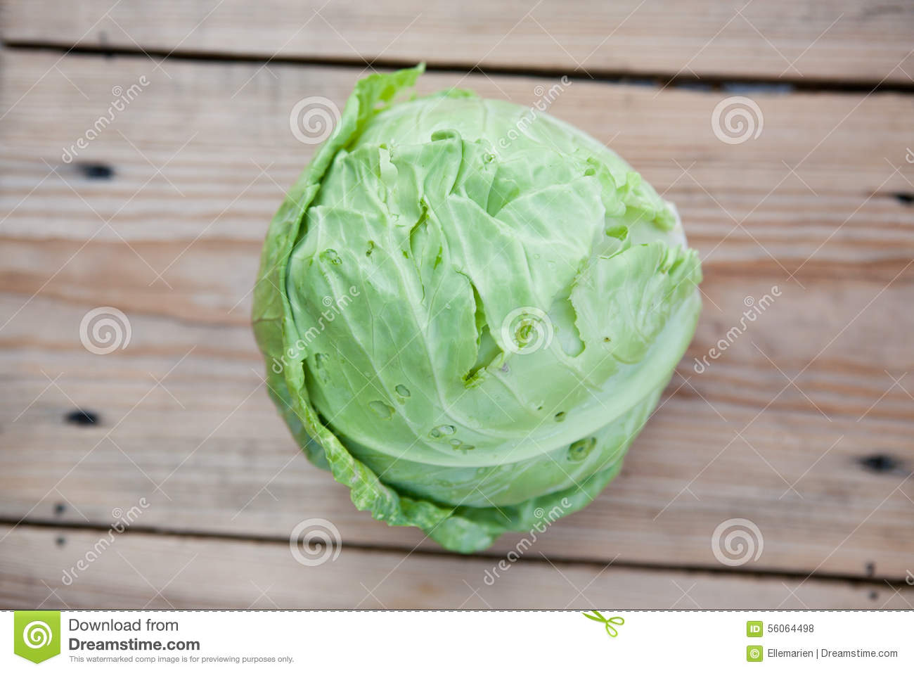 Fresh Summer Vegetables Cabbage On Rustic Wooden Background Top