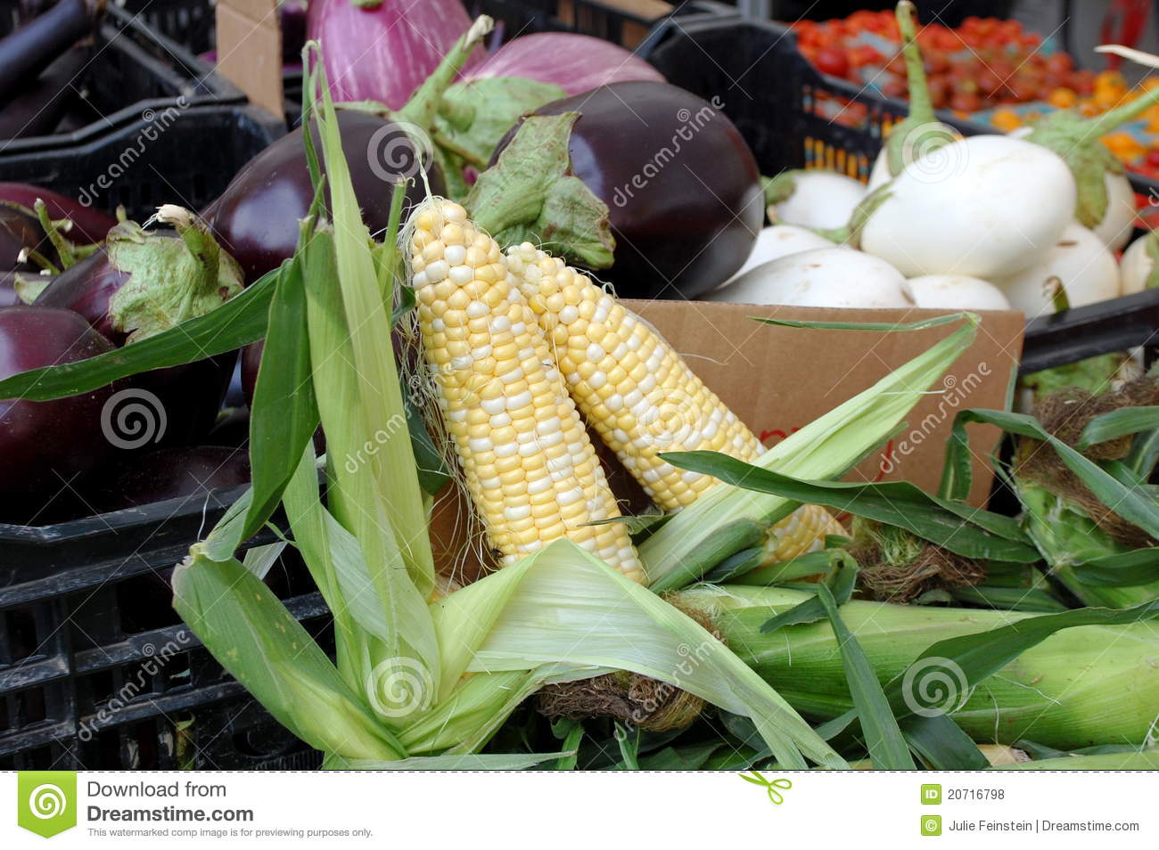 Fresh Summer Vegetables For Sale Royalty Free Stock Photos   Image