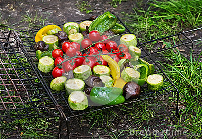 Fresh Vegetables For Grilling Outdoors Stock Photo   Image  41147826
