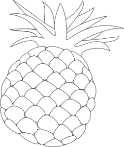 Pineapple Outline Clip Art At Clker Com   Vector Clip Art Online