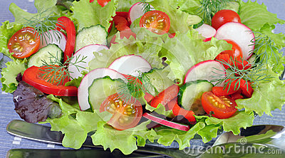 Summer Salad Of Fresh Vegetables Royalty Free Stock Photography