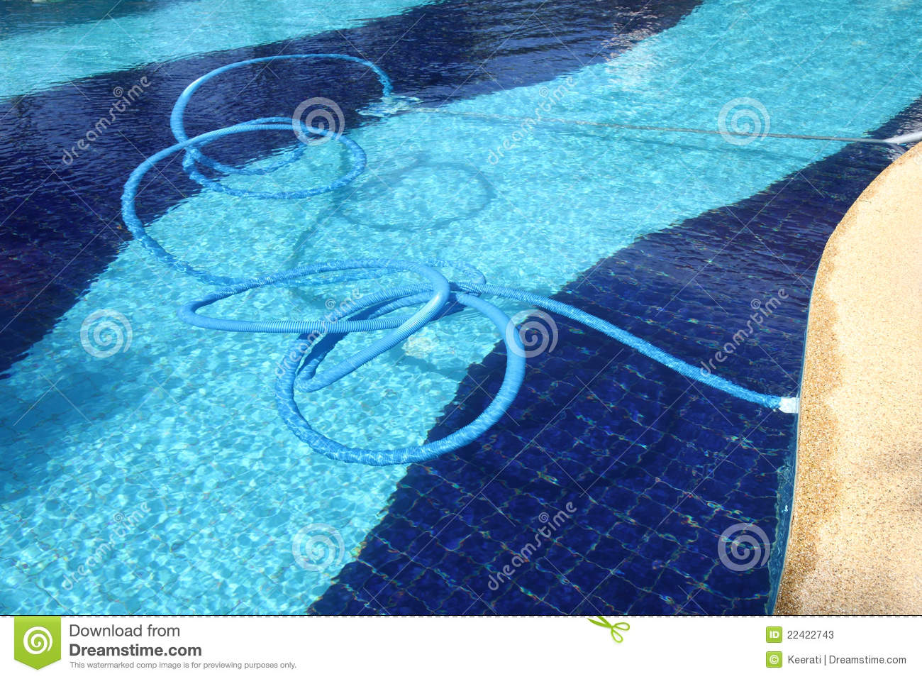 Pool Cleaning Stock Photos   Image  22422743
