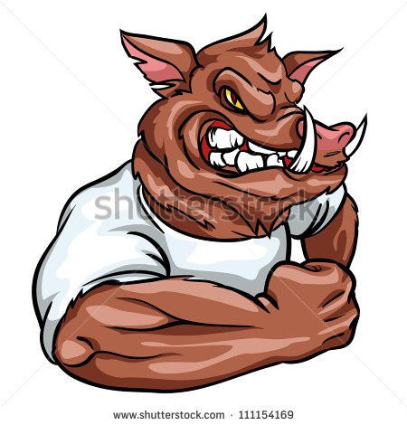 Boar Mascot Team Logo Design Angry Wild Hog Isolated   Stock Vector