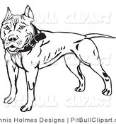 Clip Art Of A Black And White Pit Bull By Dennis Holmes Designs