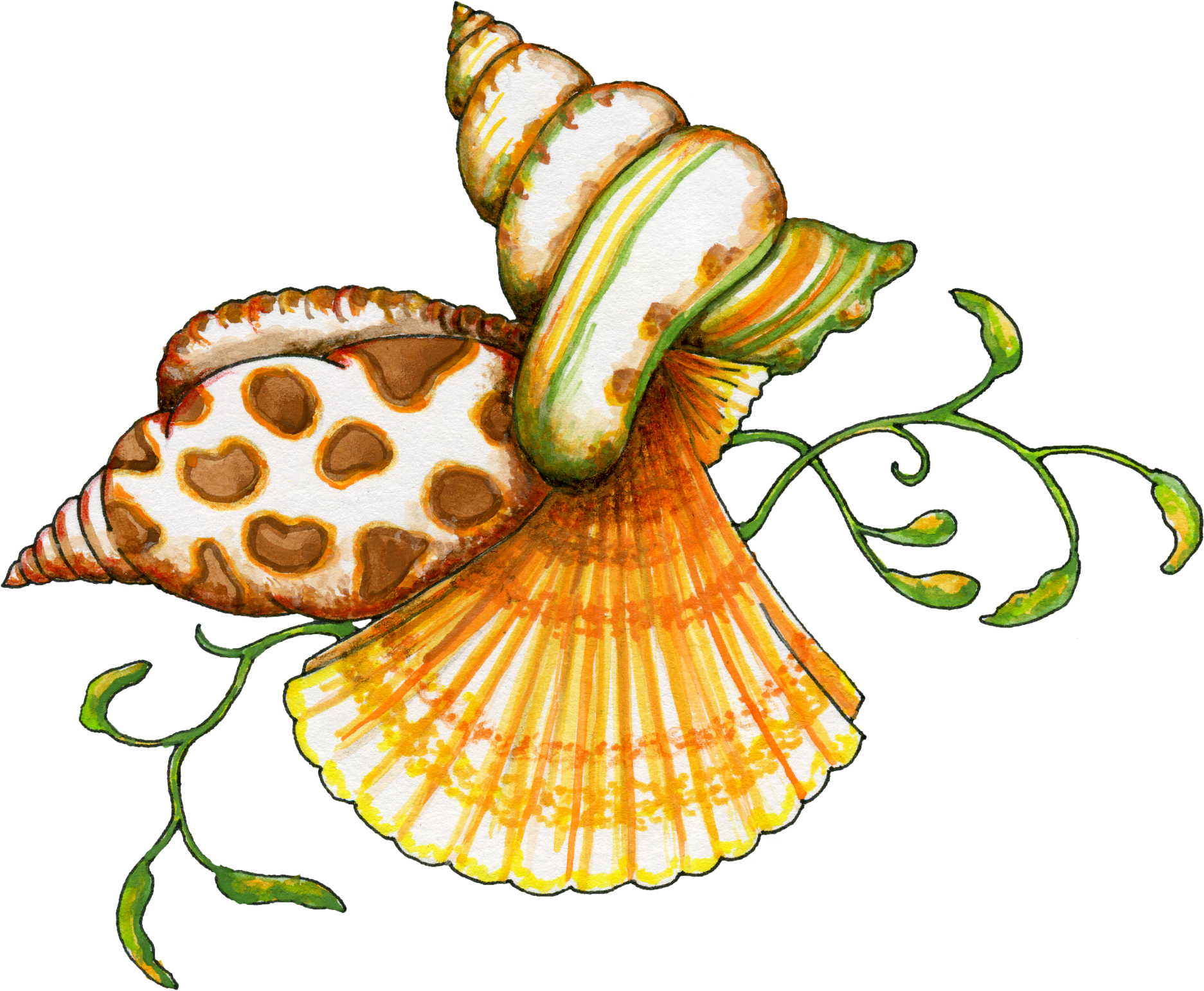Free Clip Art Sea Shells   Clipart Best