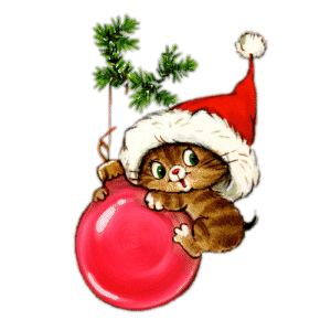 13 Mean Cat Pictures Free Cliparts That You Can Download To You