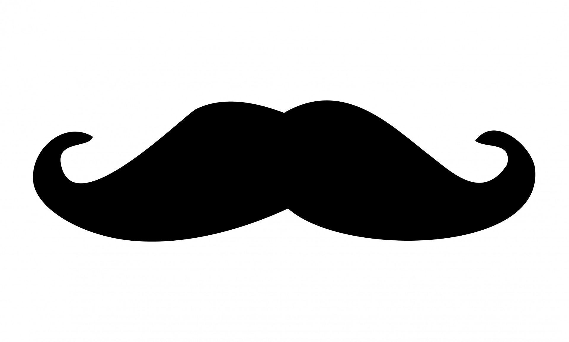 Black Moustache Clipart Free Stock Photo Hd   Public Domain Pictures