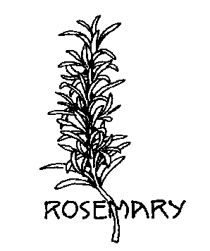 Bw   Http   Www Wpclipart Com Plants Herbs Rosemary Bw Png Html