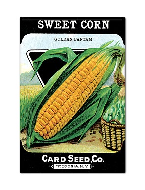 Classicalcreations Com Img Mgnt Sweet Corn Seed Packet Jpg   Pinterest