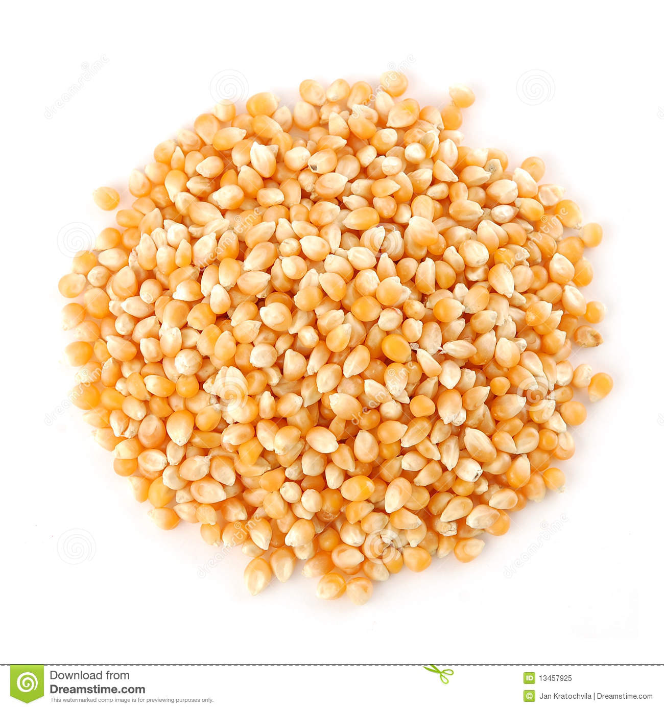 Corn Kernel Clip Art Pile Of Corn Seeds Royalty