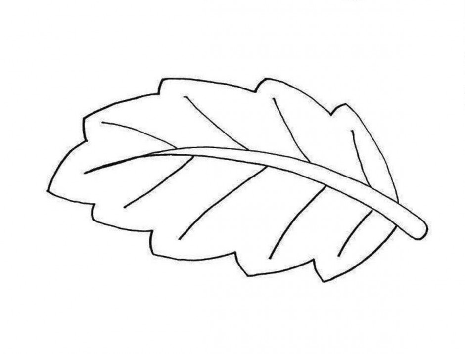 Fall Leaf Clip Art Black And White Fall Leaves Coloring Pages