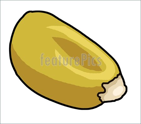 Illustration Of Corn  Clip Art To Download At Featurepics Com