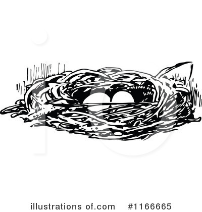 Nest Black And White Clip Art Images   Pictures   Becuo