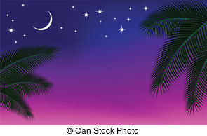 Night Sky And A Palm Branch  Vectors Illustration