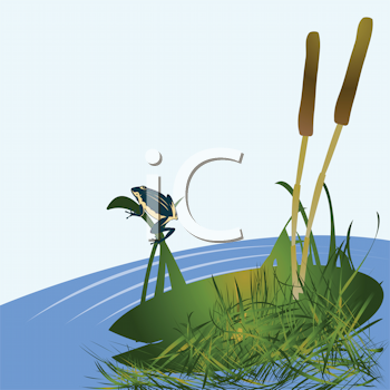 Royalty Free Cattail Clip Art Plant Clipart