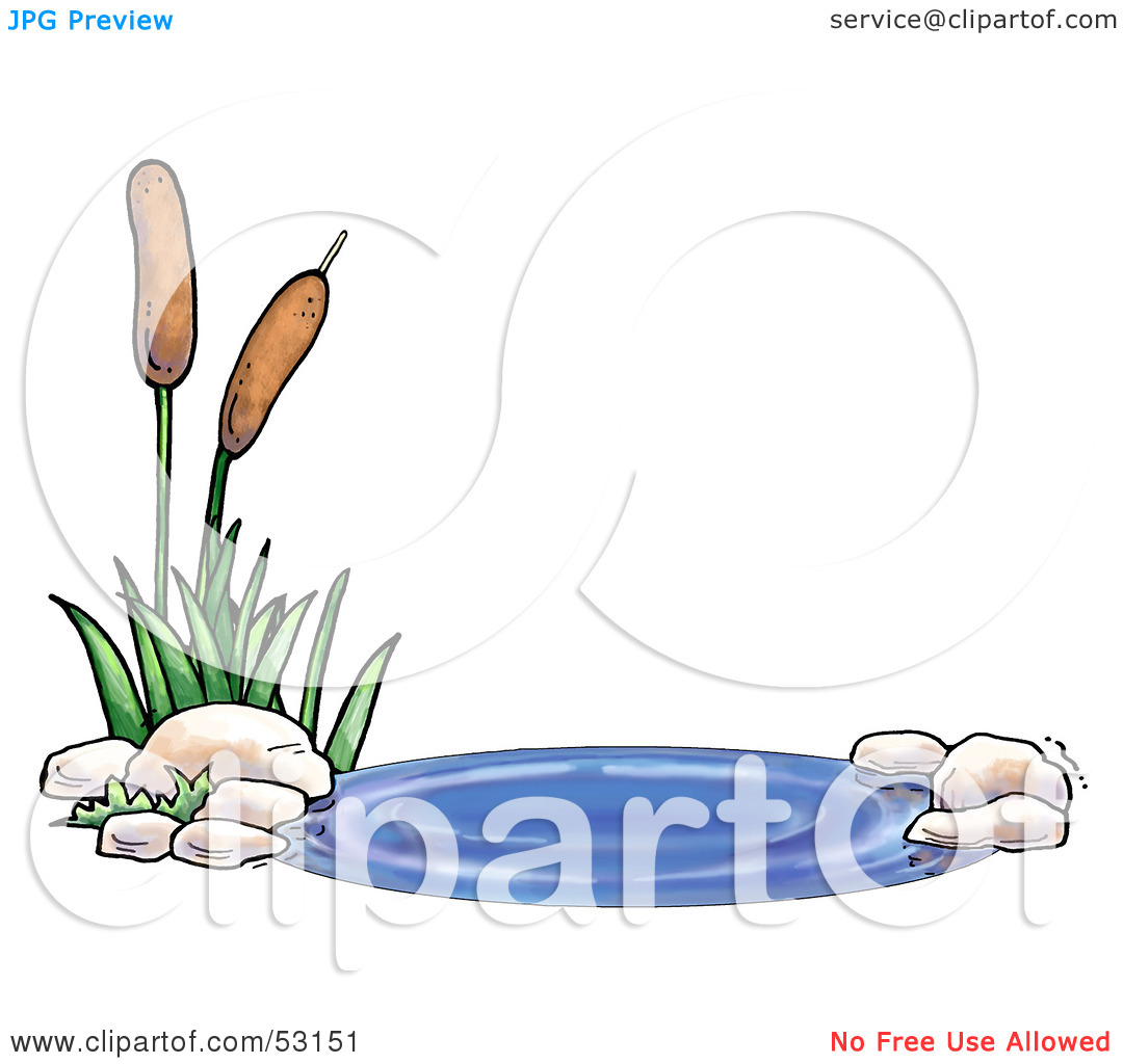 Royalty Free  Rf  Clipart Illustration Of A Natural Pond With Aquatic