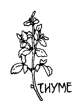 Thyme Bw   Http   Www Wpclipart Com Plants Herbs Thyme Bw Png Html