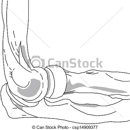 Vectors Illustration Of Human Leg Bones Csp14909377   Search Clipart