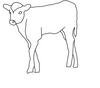 Black And White Calf  Line Drawing    Stock Photo