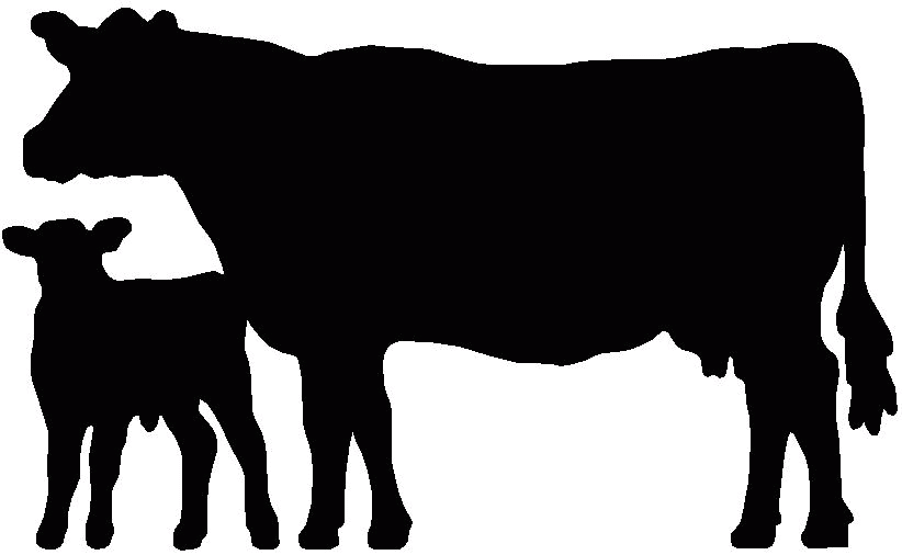 Cow And Calf Silhouette   Google Search   Plasma Cutter   Pinterest