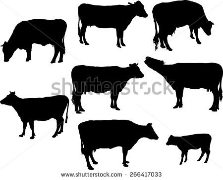 Cows And Calf 2 Vector Silhouette   Stock Vector