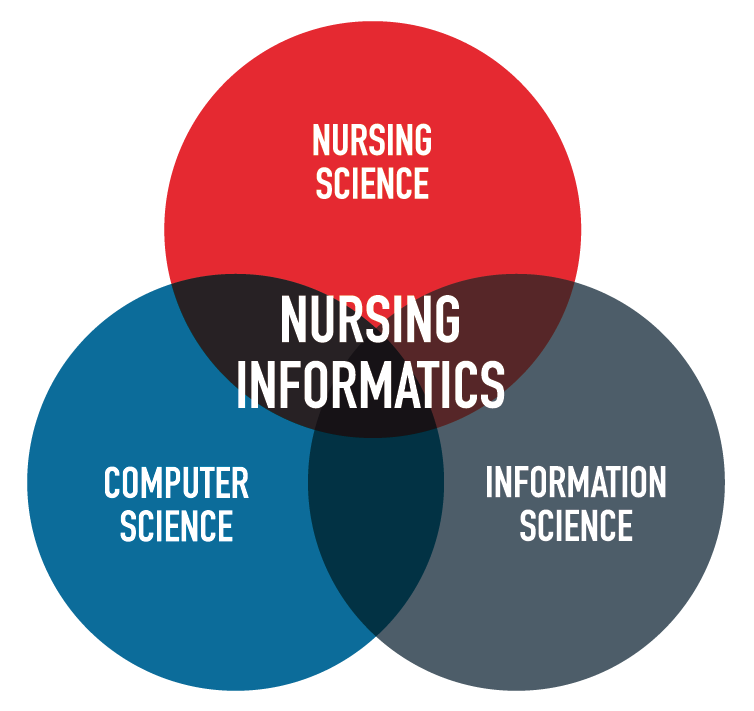 On Nursing Informatics  Part One Focused On The Basics Of The Nursing    