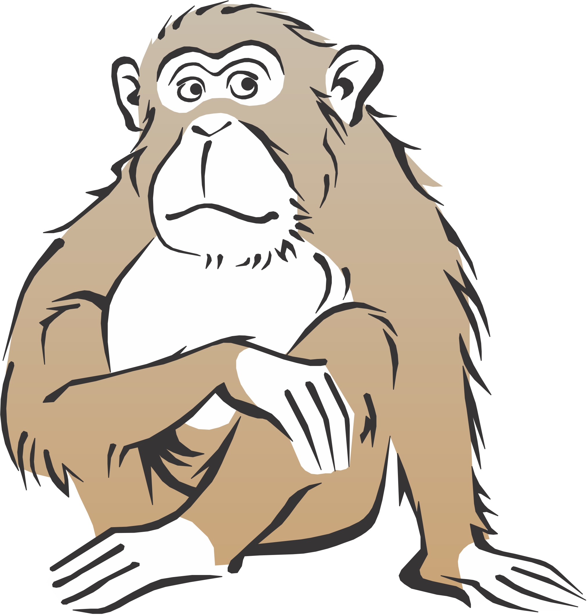 Sad Monkey Cartoon Images   Pictures Becuo