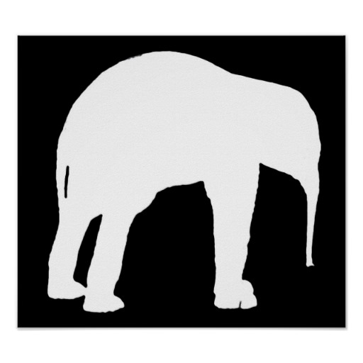 Show Calf Silhouette Elephant Calf White Silhouette