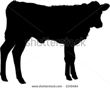 Silhouette Of Calf Stock Vector 1249484   Shutterstock
