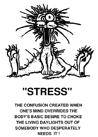 Stress   The Confusion Created