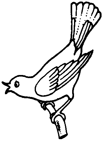 Bird   Bird Flying Away Clip Art   Animal Picture   Animal Wallpaper