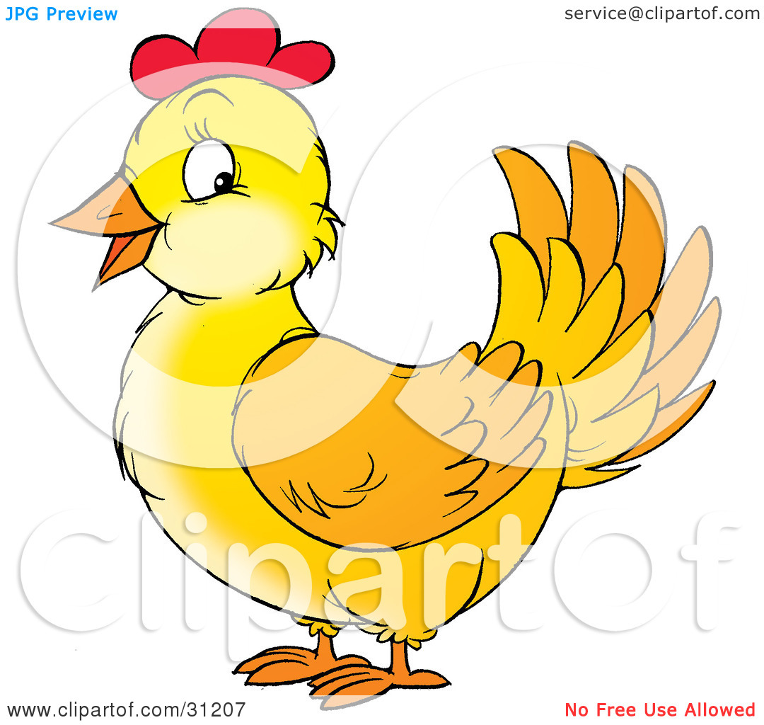 Clipart Illustration Of A Friendly Yellow Chicken Hen With Red On Her