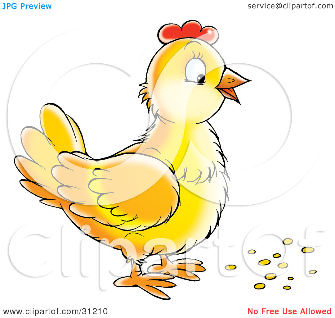 Clipart Illustration Of A Yellow Hen Standing Over Bird Seed By Alex