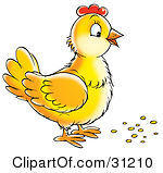 Free  Rf  Domesticated Fowl Clipart Illustrations Vector Graphics  1