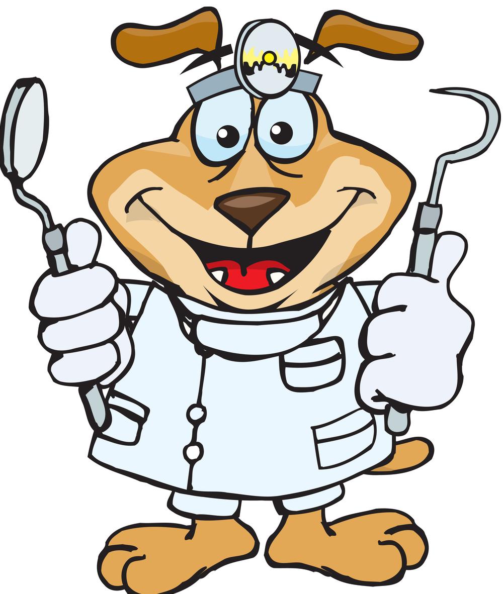See The Dentist  Royalty Free Clipart Picture Of A Dentist Dog