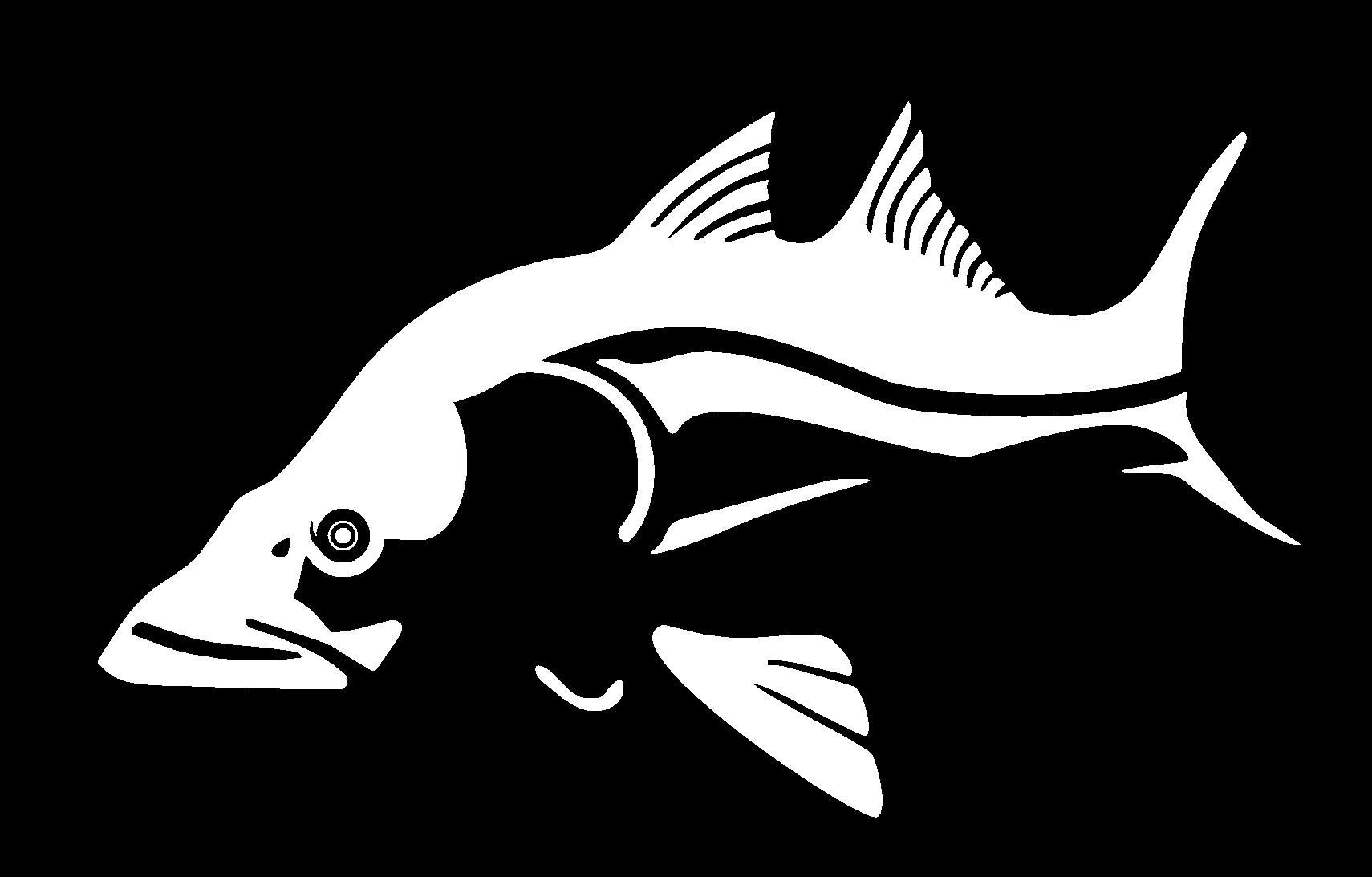 Snook Fishing Decal 2574