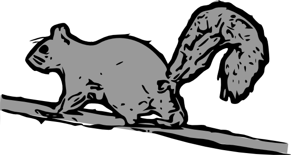 Squirrel Clip Art At Clker Com   Vector Clip Art Online Royalty Free    