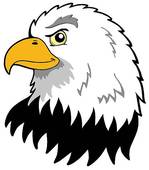 Eagle Head Stock Illustrations   Gograph