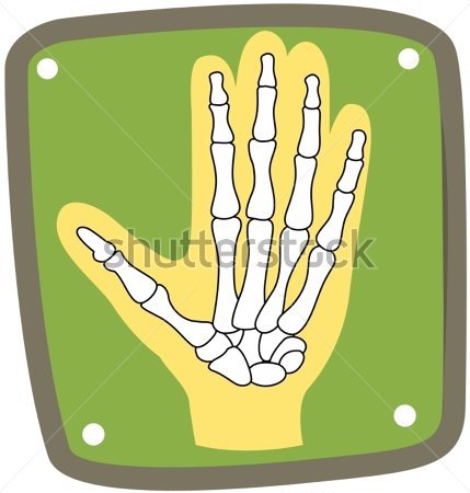 Illustration Of Isolated Icon X Ray Of Hand On White Background
