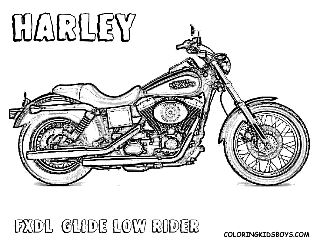 Macho Harley Davidson Coloring   Harley Davidson Motorcycle   Free
