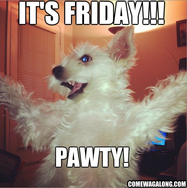 Tgif  Happy Friday    Come Wag Along