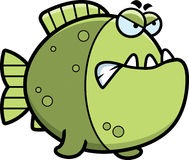 Angry Cartoon Piranha Fish Stock Illustrations Vectors   Clipart