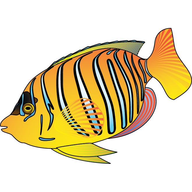 Beautiful Yellow Angry Fish By Cgvector On Deviantart Clipart