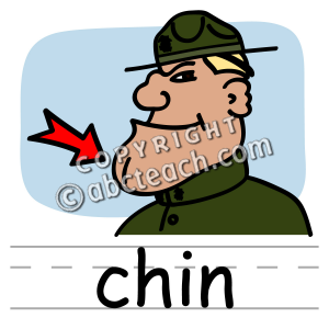 Clip Art  Basic Words  Chin Color Labeled   Preview 1