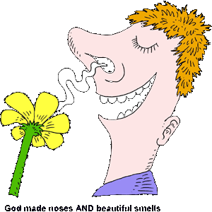 Nose Smell Clipart Smelling
