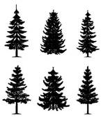 Pine Trees Collection