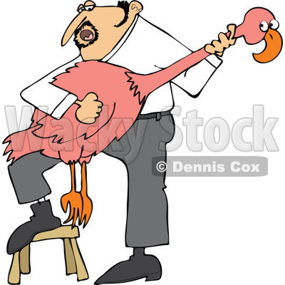 Planing A Flamingo Guitar   Royalty Free Vector Clipart By Dennis Cox